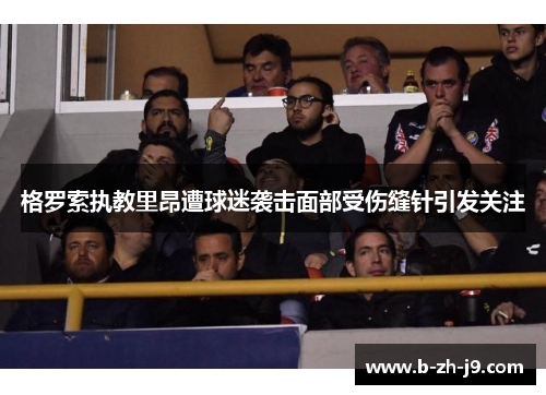 格罗索执教里昂遭球迷袭击面部受伤缝针引发关注