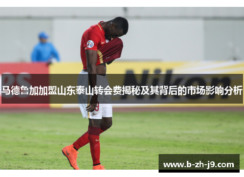 马德鲁加加盟山东泰山转会费揭秘及其背后的市场影响分析